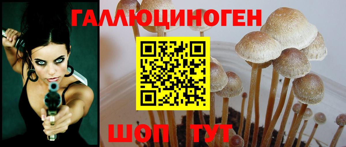 Псилоцибиновые грибы Magic Shrooms Озёрск